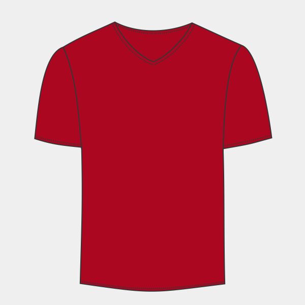 LA T Adult Fine Jersey V-Neck T-Shirt Thumbnail